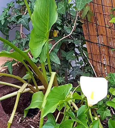 De Marie Dom wakacyjny *