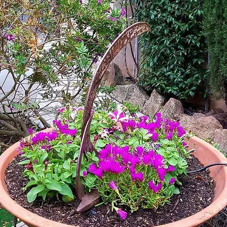 De Marie بيت للعطل غريمو